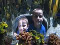 Legoland 18
